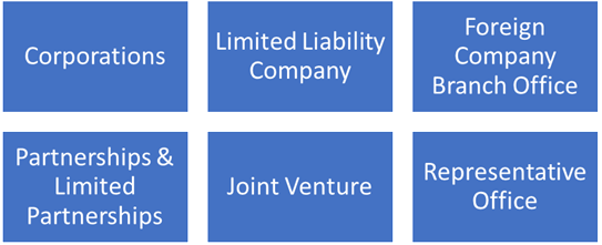 Business Entities for Company Registration in Venezuela